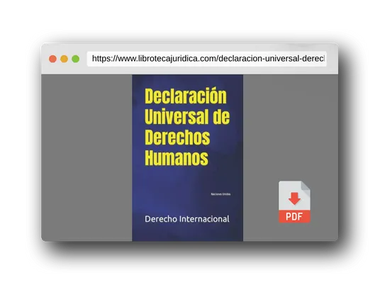 Libro Declaración Universal De Derechos Humanos: Naciones Unidas → ...